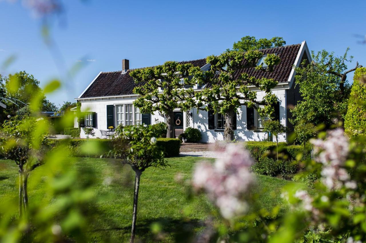 B&B Wilhelmina'S Cottage ริดเดอร์แคร์ก ภายนอก รูปภาพ